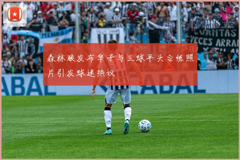 森林狼发布华子与三球平头合练照片引发球迷热议